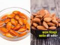 थंडीच्या दिवसांत किती बदाम खावेत? बदाम कधी खावेत-पाहा, फायदेच फायदे मिळतील - Marathi News | Soaked Vs Dry Almonds The Best Way To Eat Almonds In Winter | Latest sakhi News at Lokmat.com