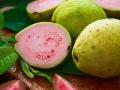 महागड्या फळांपेक्षा कित्येक पटीने जास्त पौष्टिक आहे पेरू! 'हे' फायदे वाचाल तर रोज आठवणीने खाल..  - Marathi News | benefits of eating guava in winter, health benefits of guava, 5 amazing health benefits of eating guava | Latest sakhi News at Lokmat.com