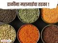 डाळींच्या दरात प्रचंड दरवाढ ! तूरडाळीने तर बजेट कोलमडेल; किलोमागे किती रुपयांची झाली वाढ? - Marathi News | Huge hike in pulse prices! Tur dal will collapse the budget; How much has the price increased per kg? | Latest maharashtra News at Lokmat.com