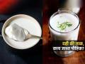 दही की ताक पोटासाठी चांगलं काय? पाहा योग्य पद्धत-ताक कुणी प्यावं आणि दही कुणासाठी चांगलं - Marathi News | Buttermilk Vs Curd : Which Is More Beneficial For Gut Health Curd Or Buttermilk Know The Right Chice | Latest sakhi News at Lokmat.com