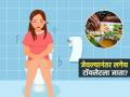 जेवल्यानंतर लगेच संडासला जावं लागतं? अमेरिकन डॉक्टर सांगतात ही सवय खूप घातक कारण.... - Marathi News | Why Do You Poop Right After Eating Us Gastroenterologist Dr Joseph Salhab Explains reason | Latest sakhi News at Lokmat.com