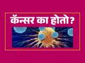 कॅन्सर नेमका कशामुळे होतो? १० कारणं, आजाराचं कारण ओळखा-तब्येत सांभाळा - Marathi News | What Are The Causes Of Cancer : Top 10 Causes Of Cancer | Latest sakhi Photos at Lokmat.com