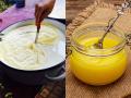१० मिनिटांत करा तूप, सायीचं तूप करण्याची १ खास युक्ती-गॅसही वाचेल आणि होईल रवाळ तूप - Marathi News | Right Way To Make Pure Ghee From Malai In 10 Minutes By Save Time LPG Cylinder | Latest sakhi News at Lokmat.com