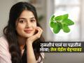 चेहरा काळा पडला? तुळशीची पानं 'या' पद्धतीनं लावा, चेहऱ्यावर येईल तेज-सुंदर दिसाल - Marathi News | How To Apply Tulsi Leaves On face : Tulsi Leaves Home Remedies For Glowing Skin | Latest sakhi Photos at Lokmat.com