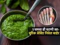 जेवताना रोज १ चमचा 'ही' चटणी खा; शरीरात साचलेलं घातक युरीक एसिड भरकन होईल कमी - Marathi News | Home Remedies For Uric Acid Chutney To Reduce High Uric Acid Know How To Make It | Latest sakhi News at Lokmat.com