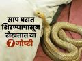 साप अंथरुणात शिरण्याची भिती वाटते? 7 गोष्टी करा, उन्हाळ्यात सापांचा टळेल धोका - Marathi News | How To Keep Snakes Away From Your Home : 7 Tips On Helping Snakes Leaves Your Home | Latest sakhi Photos at Lokmat.com