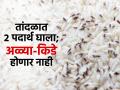 गावाहून तांदळाचं पोतं आणलं पण अळी झाली तर? डब्यात हे पदार्थ ठेवा, अळ्याकिड्यांचा धोका कमी - Marathi News | How To Prevent Rice Bugs : How To Prevent Rice Bugs Naturally | Latest sakhi Photos at Lokmat.com