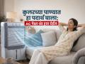 खूप घाम येतो-घरात AC नाही? कुलरच्या पाण्यात हा पदार्थ घाला, थंड हवा येईल-हवेशीर राहील घर - Marathi News | Cooler Cooling Tips Know What To Add In Cooler Water For Cool Air Alum Benefits | Latest sakhi News at Lokmat.com