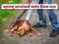 महाराष्ट्रात प्राण्यांवर होते सर्वात जास्त क्रूरता; एनसीआरबीने पहिल्यांदाच केली प्राणी हिंसेची नोंद - Marathi News | Maharashtra has the highest cruelty to animals; NCRB records animal cruelty for the first time | Latest maharashtra News at Lokmat.com