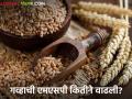 Wheat MSP : गव्हाच्या किमान आधारभूत किंमतीत 14 वर्षांत किती वाढ झाली? वाचा सविस्तर  - Marathi News | Latest News Wheat MSP How much has minimum support price of wheat increased in 14 years Read in detail  | Latest agriculture News at Lokmat.com
