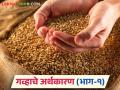 Wheat Market : गव्हाचे अर्थकारण कसे आहे ते जाणून घ्या सविस्तर - Marathi News | Wheat Market: latest news Know the economics of wheat in detail | Latest agriculture News at Lokmat.com