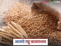 Wheat Market: गव्हाच्या अवकेत चढ-उतार; कसा मिळतोय दर ते वाचा सविस्तर - Marathi News | Wheat Market: Fluctuations in wheat Arrivals; Read in detail how the price is being obtained | Latest agriculture News at Lokmat.com