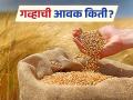 Wheat Market : बाजारात 'या' जातीच्या गव्हाची आवक सर्वाधिक; कसा मिळाला दर ते वाचा सविस्तर - Marathi News | Wheat Market: The arrival of 'this' variety of wheat in the market is the highest; Read in detail how the price was obtained | Latest agriculture News at Lokmat.com