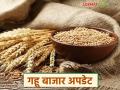 Gahu Bajarbhav : गहू दरात मोठी तफावत; कोणत्या बाजारात तेजी, कुठे घसरण? - Marathi News | latest news Wheat Market: Big difference in wheat prices; In which market is it rising, where is it falling? | Latest agriculture News at Lokmat.com