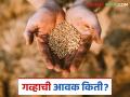 Wheat Market: कारंजा बाजारात गव्हाच्या अवकेत वाढ; कसा मिळाला दर ते वाचा सविस्तर - Marathi News | Wheat Market: Increase in wheat supply in Karanja market; Read in detail how the price was obtained | Latest agriculture News at Lokmat.com