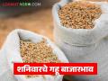 Gahu Bajarbhav : अक्षय तृतीयेपूर्वी गहू तेजीत; कोणत्या बाजारात मिळाला सर्वाधिक दर? - Marathi News | latest news Gahu Bajarbhav : Wheat prices rise before Akshaya Tritiya; Which market got the highest price? | Latest agriculture News at Lokmat.com