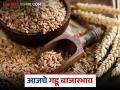 Gahu Market : आजचा गहू बाजारभाव: कुठे किती भाव, कुठे किती आवक? वाचा सविस्तर - Marathi News | latest news Wheat Market: Today's wheat market price: Where is the price, where is the arrival? Read in detail | Latest agriculture News at Lokmat.com