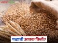 Wheat Market : मुंबई बाजारात गव्हाचे दर स्थिर; किती झाली आवक ते वाचा सविस्तर - Marathi News | Wheat Market: latest news Wheat prices stable in Mumbai market; Read in detail how much has been arrivals | Latest agriculture News at Lokmat.com