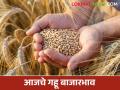 Gahu Bajar Bhav: गव्हाच्या आवकेत सुधारणा; कसा मिळाला दर ते वाचा सविस्तर - Marathi News | Wheat Market: latest news Improvement in wheat arrival; Read in detail how the price was obtained | Latest agriculture News at Lokmat.com