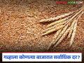 Gahu BajarBhav: गव्हाला कोणत्या बाजार समितीमध्ये सर्वाधिक दर? वाचा सविस्तर - Marathi News | latest news Wheat Market: Which APMC market has the highest price for wheat? Read in detail | Latest agriculture News at Lokmat.com