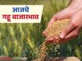 Wheat Market : लोकल गव्हाचा बाजारात बोलबाला; कसा मिळतोय भाव ते वाचा सविस्तर - Marathi News | Wheat Market: Local wheat demand in the market; Read in detail how it is getting its price | Latest agriculture News at Lokmat.com