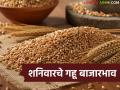 Wheat Market Update : गहू दरात चढ-उतार; कुठे फायदा, कुठे तोटा? - Marathi News | | Latest agriculture News at Lokmat.com