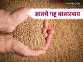 Gahu BajarBhav: गव्हाच्या बाजारभावांमध्ये काय बदल? जाणून घ्या आजचे अपडेट - Marathi News | Wheat Market: What are the changes in wheat market prices? Know today's updates | Latest agriculture News at Lokmat.com