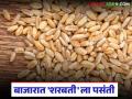 Wheat Market Price : गव्हाच्या दरात तेजी; मुंबई, पुण्यात 'हा' गहू खातोय भाव - Marathi News | latest news Wheat Market Price: Wheat prices rise; 'This' wheat price is eating up in Mumbai, Pune | Latest agriculture News at Lokmat.com
