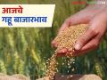 Gahu Market: राज्यात गव्हाच्या आवकेत मोठी वाढ; दरात सौम्य चढ-उतार वाचा सविस्तर - Marathi News | latest news Wheat Market: Huge increase in wheat arrivals in the state, mild fluctuations in prices | Latest agriculture News at Lokmat.com