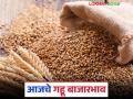 Gahu Bajar Bhav: मुंबई बाजार समितीमध्ये गव्हाचे दर स्थिर; इतर बाजार कसा मिळाला दर वाचा सविस्तर - Marathi News | Wheat Market Bhav: latest news Wheat prices stable in Mumbai Market Committee; Read in detail how other markets got the prices | Latest agriculture News at Lokmat.com