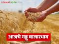 Gahu Market: आजचा गहू बाजारभाव ; कुठे मिळाला सर्वाधिक दर? वाचा सविस्तर - Marathi News | latest news Wheat Market: Today's wheat market price; Where did you get the highest price? Read in detail | Latest agriculture News at Lokmat.com