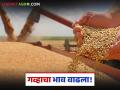 Wheat Market Price : गव्हाच्या 'या' जातीला मिळतोय ४७०० रुपयांचा भाव; पाहा तुमच्या शहरात काय आहेत दर? - Marathi News | latest news Wheat Market Price: 'This' variety of wheat is getting a price of Rs 4700; See what are the prices in your city? | Latest agriculture News at Lokmat.com