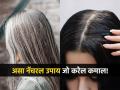 कमी वयातच पांढरे झालेले केस पुन्हा होतील काळेभोर, फक्त २१ दिवस करा हा नॅचरल उपाय! - Marathi News | Doctor share premature white hair effective remedy on her Instagram | Latest sakhi News at Lokmat.com
