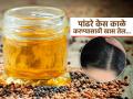 पांढरे केस काळे करण्यासाठी घरीच तयार 'हे' नॅचरल ऑइल, कोणतंही एक वापरा फरक दिसून येईलच - Marathi News | Best home made oils for naturally get black hair | Latest sakhi News at Lokmat.com