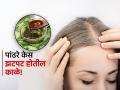 खोबऱ्याचं तेल आणि कढीपत्ता पांढरे केस काळे करण्याचा बेस्ट उपाय, जाणून घ्या कसा कराल वापर! - Marathi News | Hair fall Home Remedies : Curry leaves and coconut oil to stop hair fall, know how to use it | Latest sakhi News at Lokmat.com