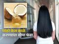 पांढरे केस काळे करण्यासाठी खोबऱ्याच्या तेलात 'या' दोन गोष्टी मिक्स करा, मग बघा कमाल! - Marathi News | Coconut oil and curry leaves and lemon combination to get black hair | Latest sakhi News at Lokmat.com