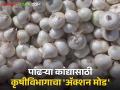 White Onion Production : पांढऱ्या कांद्याचे बियाणे उत्पादीत करा सोबत साडेचार हजार अनुदान मिळवा - Marathi News | White Onion Production: Produce white onion seeds and get a grant of Rs four thousand and five hundred | Latest agriculture News at Lokmat.com