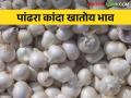 Kanda Bajar Bhav : कर्नाटकातील नवीन पांढरा कांदा सोलापूर मार्केटमध्ये लाल कांद्याला कसा मिळतोय बाजारभाव - Marathi News | Kanda Bajar Bhav : Karnataka's new white onion in Solapur market How red onion is getting market price | Latest agriculture News at Lokmat.com