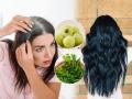 तिशीतच केस पिकू लागले- केसगळतीने हैराण? लावा आयुर्वेदिक हेअर मास्क, होतील काळेभोर- कोंडाही कमी - Marathi News | how to stop premature white hair naturally ayurvedic hair mask for white hair and hair fall black hair remedy coconut oil curry leaves and amla benefits | Latest sakhi News at Lokmat.com