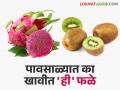 Rainy Season Fruit Health Benefits पावसाळ्यात किवी, ड्रॅगन फ्रूट का खावे? - Marathi News | Rainy Season Fruit Health Benefits Why eat kiwi, dragon fruit in rainy season? | Latest agriculture News at Lokmat.com