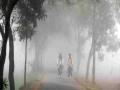 Maharashtra Winter: राज्यातून ढगाळ वातावरण निवळले, आता हळूहळू वाढणार थंडी! - Marathi News | The cloudy weather has cleared from the maharashtra now the cold will gradually increase! | Latest pune News at Lokmat.com