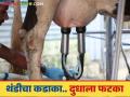 Milk Production : थंडीत जनावरांचे दूध का कमी पडते; काय आहेत कारणे? - Marathi News | Milk Production : Why does animal milk decrease in winter? What are the reasons? | Latest agriculture News at Lokmat.com
