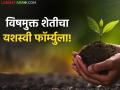 Natural Farming : विषमुक्त शेतीचा 'हिंगोली पॅटर्न'; अश्विन पानपट्टे यांचा नैसर्गिक शेतीतून शाश्वततेकडे प्रवास - Marathi News | latest news Natural Farming: 'Hingoli Pattern' of poison-free farming; Ashwin Panpatte's journey from natural farming to sustainability | Latest agriculture News at Lokmat.com