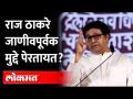 जाणीवपूर्वक मुद्दे पेरुन राज जनमत चाचपून पाहतायत? Is Raj Thackeray deliberately raising issues? - Marathi News | Is Raj deliberately scrutinizing issues and scrutinizing public opinion? Is Raj Thackeray deliberately raising issues? | Latest maharashtra Videos at Lokmat.com