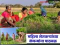 राज्यात ४०० महिला शेतकरी उत्पादक कंपन्या तयार होणार; काय आहे उपक्रम? कसा मिळणार लाभ? - Marathi News | 400 women farmer producer companies to be formed in the state; What is the initiative? How will the benefits be obtained? | Latest agriculture News at Lokmat.com