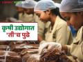 'कृषी उद्योगा'त महिला राज; केंद्राच्या सूक्ष्म अन्नप्रक्रिया उद्योग योजनेत तब्बल ५७ टक्के महिला - Marathi News | Women in agriculture processing industry; As many as 57 percent women owners in the Center's micro food processing industry scheme | Latest agriculture News at Lokmat.com