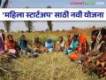 Government Schemes for Women Entrepreneurs: महिलांच्या स्टार्टअप साठी आली हि नवी योजना मिळणार २५ लाखांपर्यंत अर्थसहाय्य - Marathi News | Government Schemes for Women Entrepreneurs: This new scheme for women startups will get financial support of up to 25 lakhs | Latest agriculture News at Lokmat.com