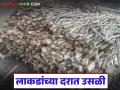Wood Fuel Price Hike : गॅस टंचाईच्या भीतीने लाकूड बाजारात तेजी; दरात मोठी उसळी! - Marathi News | latest news Wood Fuel Price Hike: Wood market booms due to fear of gas shortage; Big jump in prices! | Latest agriculture News at Lokmat.com