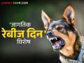 World Rabies Day : जीवघेणा रेबीज किंवा अलर्क; उपचार नाही पण कसा टाळता येईल हा आजार? वाचा सविस्तर - Marathi News | World Rabies Day : Life threatening rabies or alarc; There is no cure but how can this disease be prevented? Read in detail | Latest agriculture News at Lokmat.com