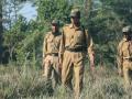 World Ranger Day : वनखात्याचा कणा रेंजर दुर्लक्षितच - Marathi News | World Ranger Day: The backbone of the forest department, the ranger is neglected | Latest akola News at Lokmat.com